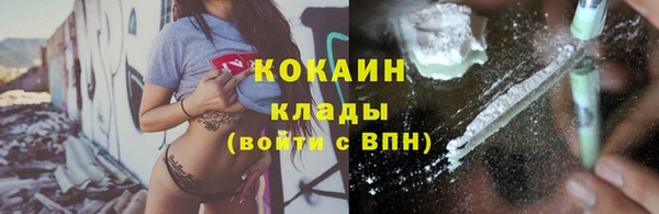 дмт Елизово