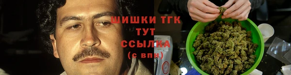 дмт Елизово