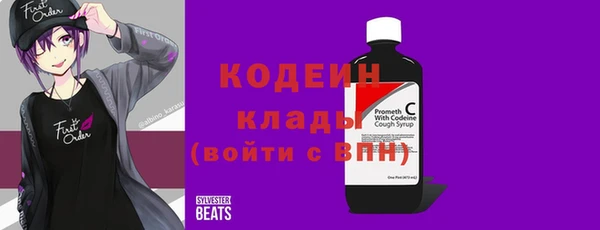 дмт Елизово