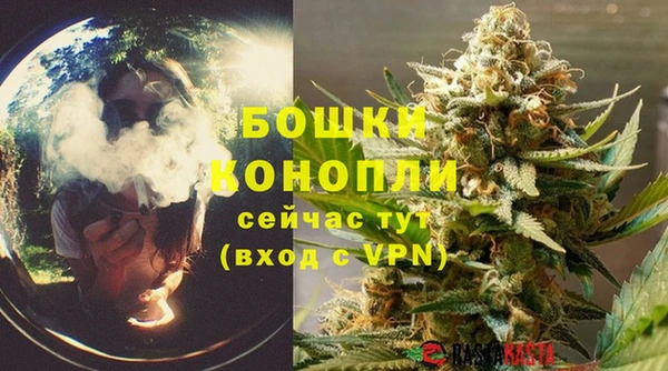дмт Елизово