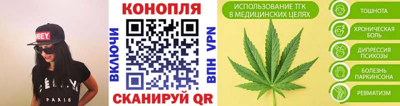 где найти   Избербаш  Каннабис сатива 